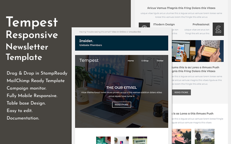 Responzivní Newsletter šablona "Tempest - Responsive Email" #150833