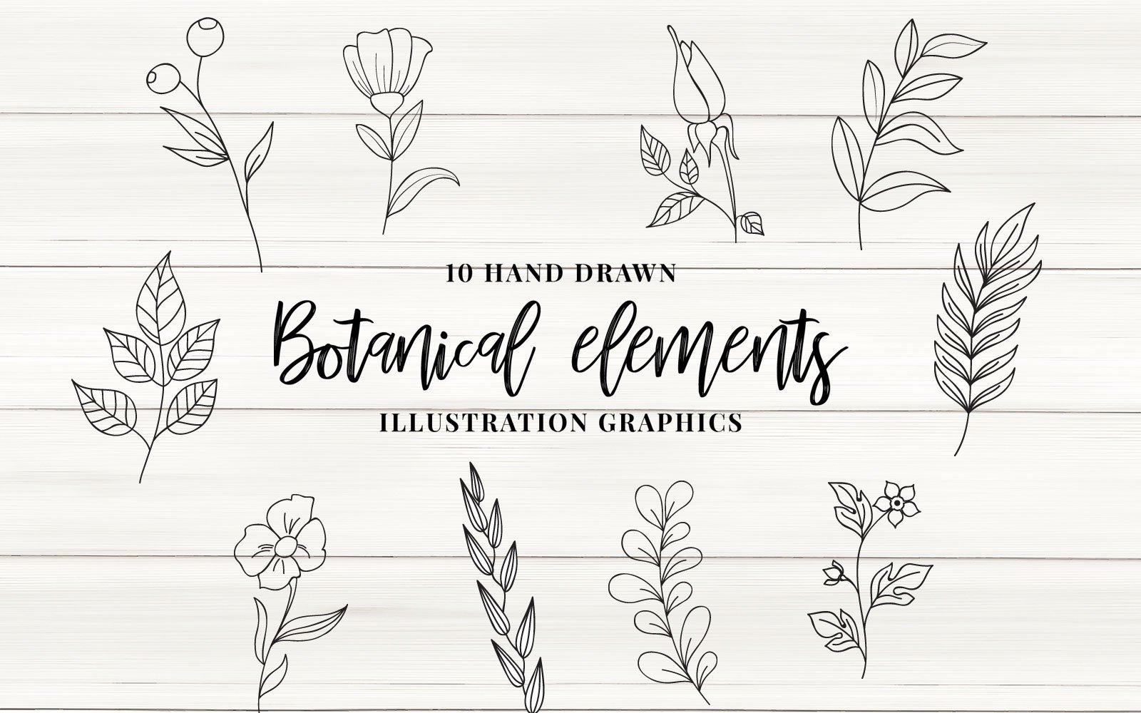 Kit Graphique #151111 Botanical lments Divers Modles Web - Logo template Preview