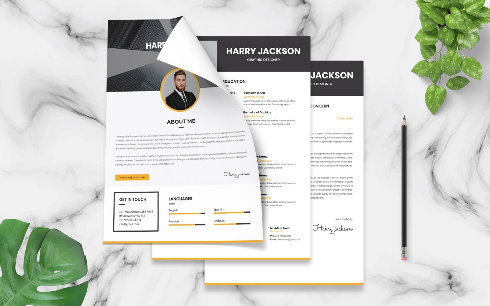 Kit Graphique #151134 Professional Cv Divers Modles Web - Logo template Preview