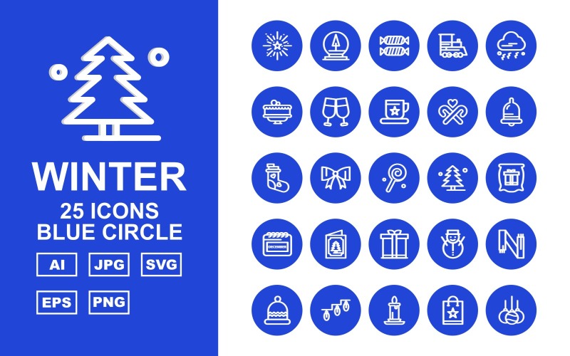 25 Premium Winter Blue Circle Pack Icon Set