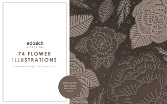 Flower Illustrations Set - Vector Image