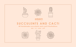 Succulents and Cacti Handmade Illustrations Set - Vector Image