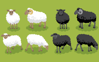 Sheep - Illustration