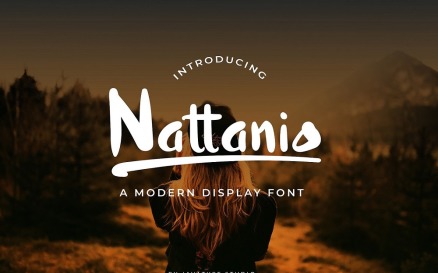 Nattanio A Modern Display Font