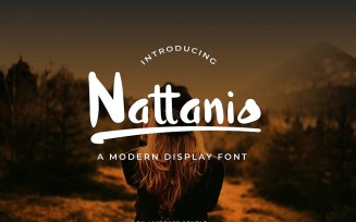 Nattanio A Modern Display Font