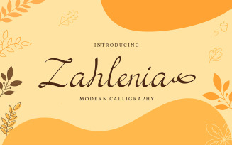 Zahlenia | Modern Calligraphy Font