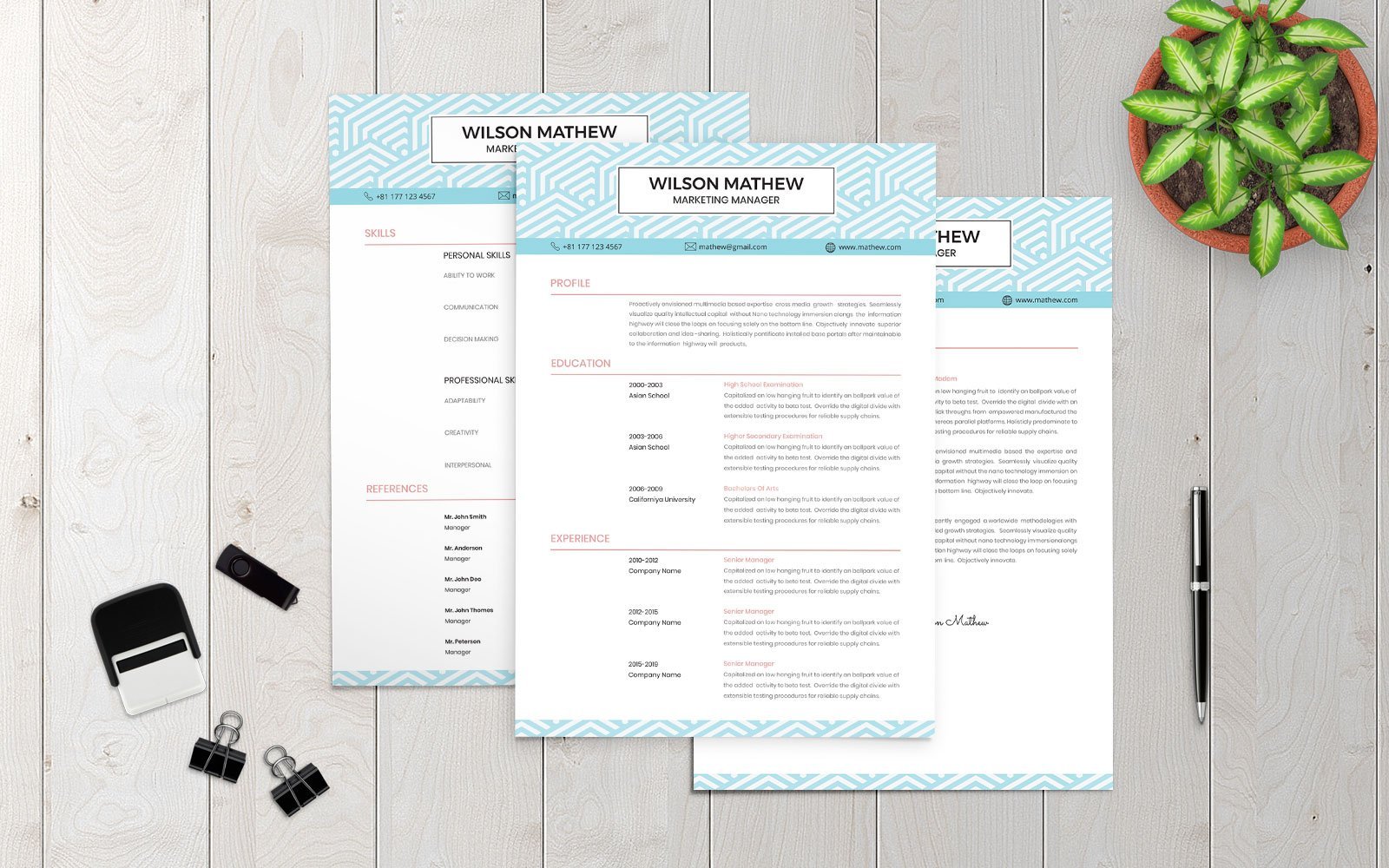 Kit Graphique #154035 Cv Template Divers Modles Web - Logo template Preview