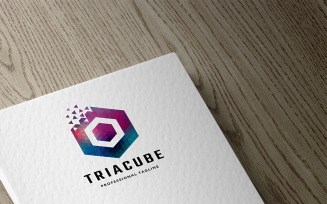 Trial Cube Logo Template