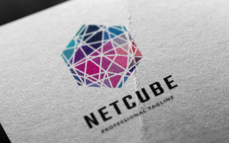 Net Cube Logo Template