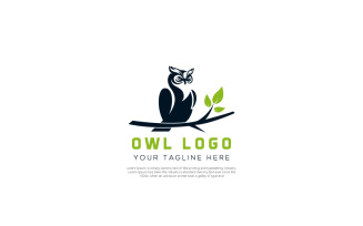 Owl Business Logo Template