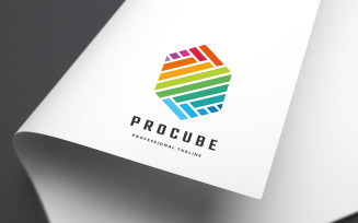Professional Cube Logo Template