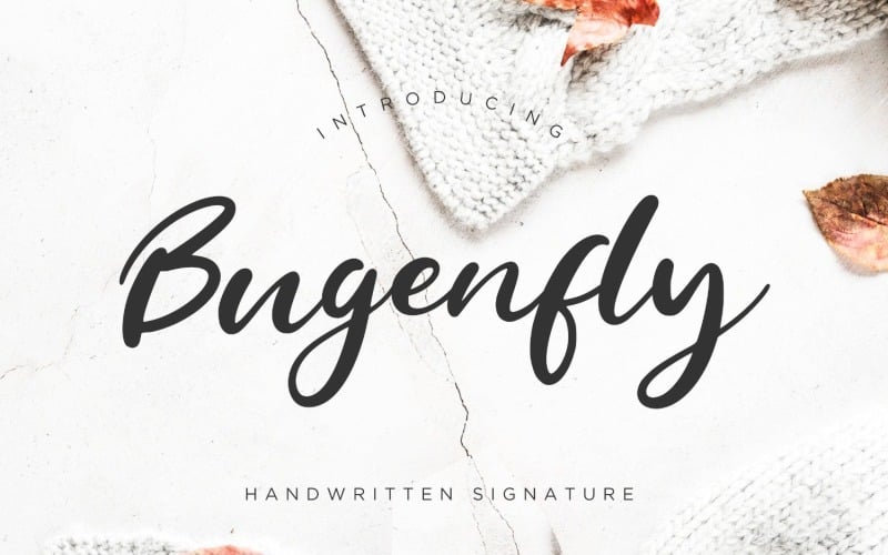 Bugenfly Handwritten Signatur Font