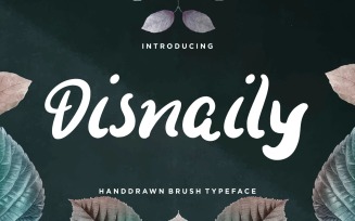 Disnaily Handdrawn Brush Font