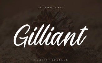Gilliant Script Typeface Font