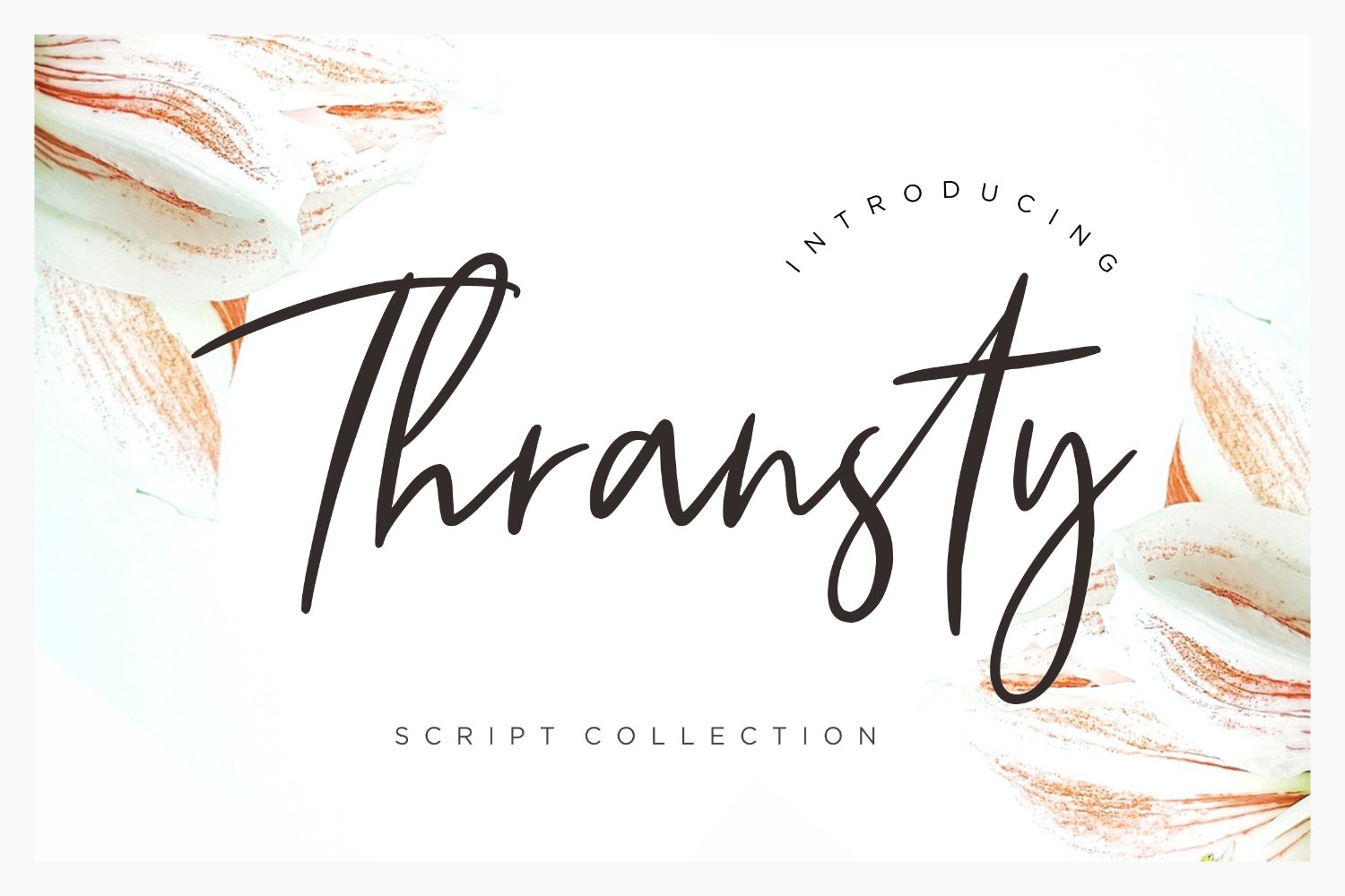 Kit Graphique #157455 Script Marque Divers Modles Web - Logo template Preview