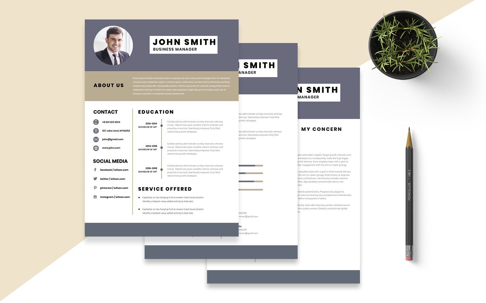 Kit Graphique #157890 Professional Cv Divers Modles Web - Logo template Preview