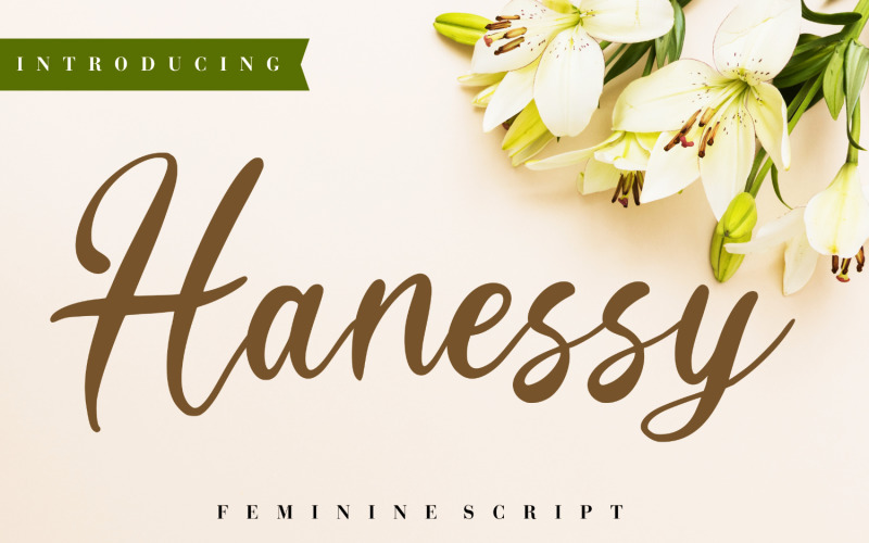 Hanessy Feminine Cursive Font