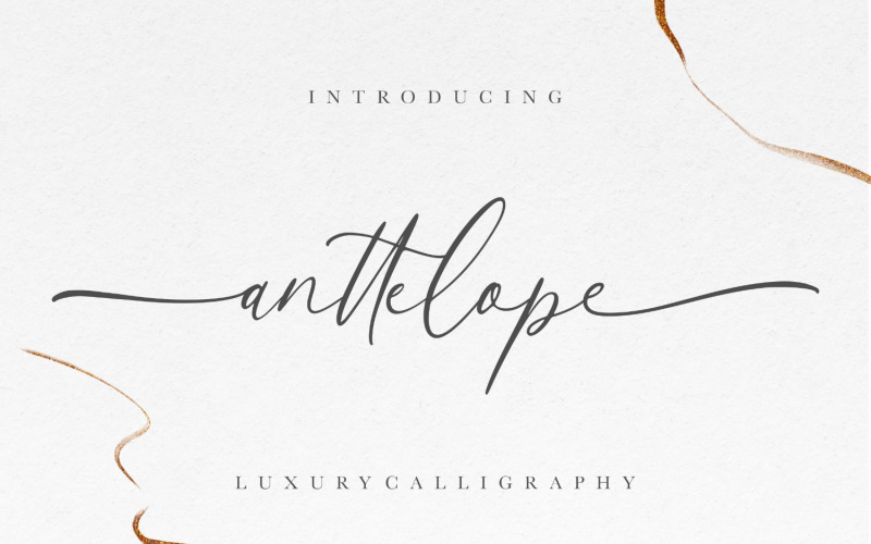 Anttelope Luxury Calligraphy Font