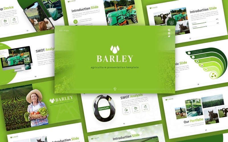 Barley Agriculture Presentation PowerPoint template PowerPoint Template