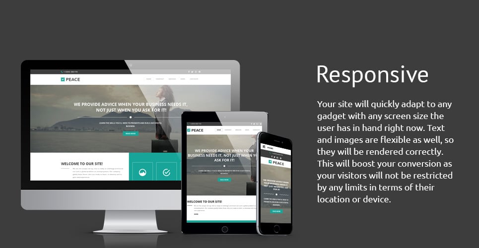 Business & Services Responsive Website Template