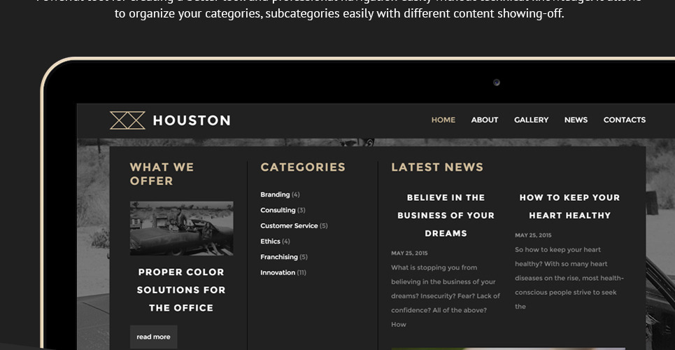 Houston WordPress Theme 57875 TemplateMonster