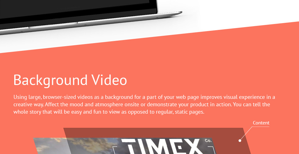 timex website
