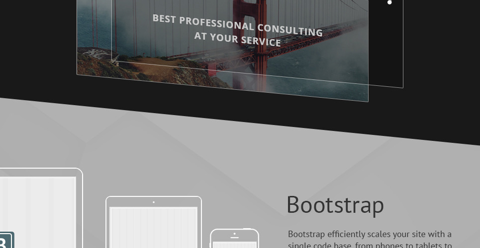 Business & Services Website Template - TemplateMonster