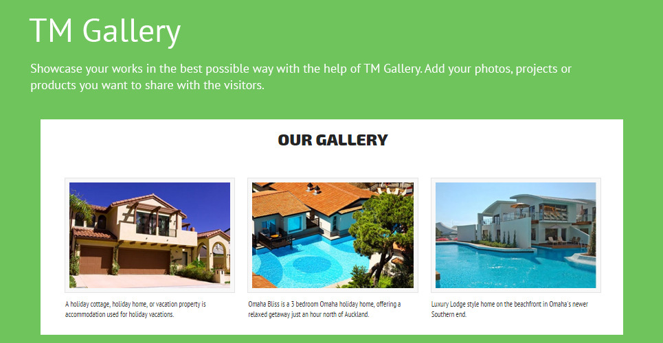 Holiday Homes for Rent site Template TemplateMonster