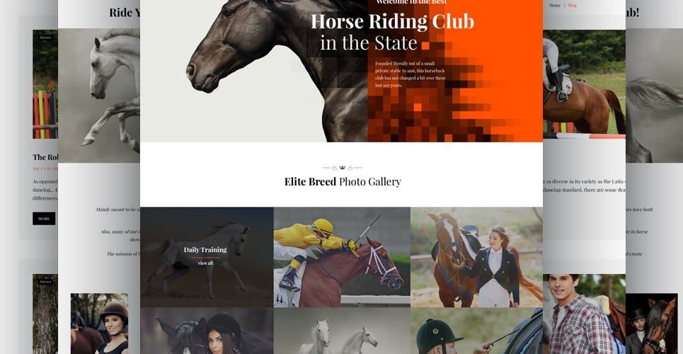 horse handicapping software developer horse handicapping software developer