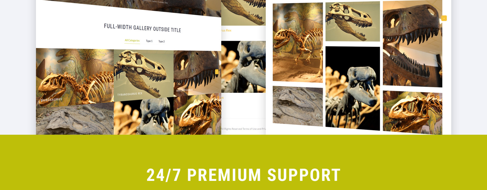 Dino Museum site Template 64432 TemplateMonster