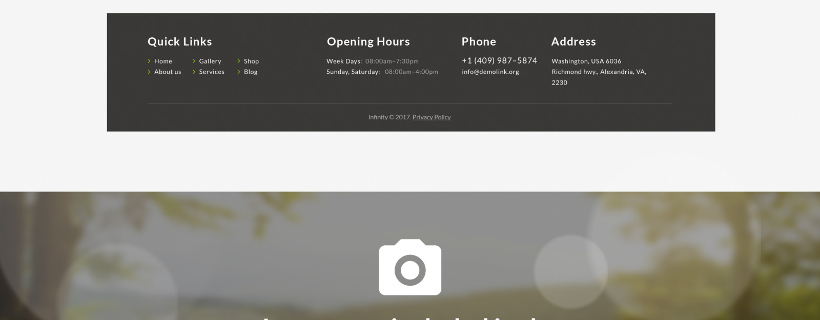 Infinity Personal Landing Page Template TemplateMonster Infinity Personal Landing Page Template TemplateMonster