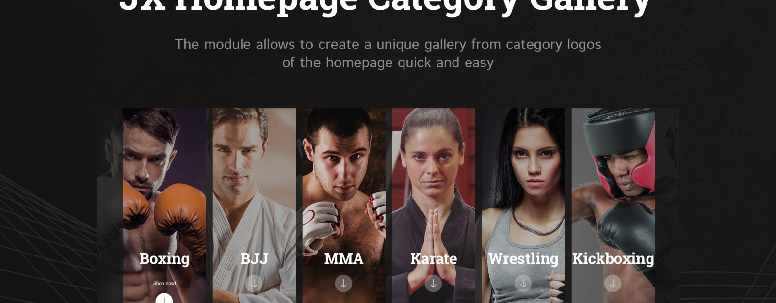 Fight Store Sports Equipment and Apparel for Martial Arts