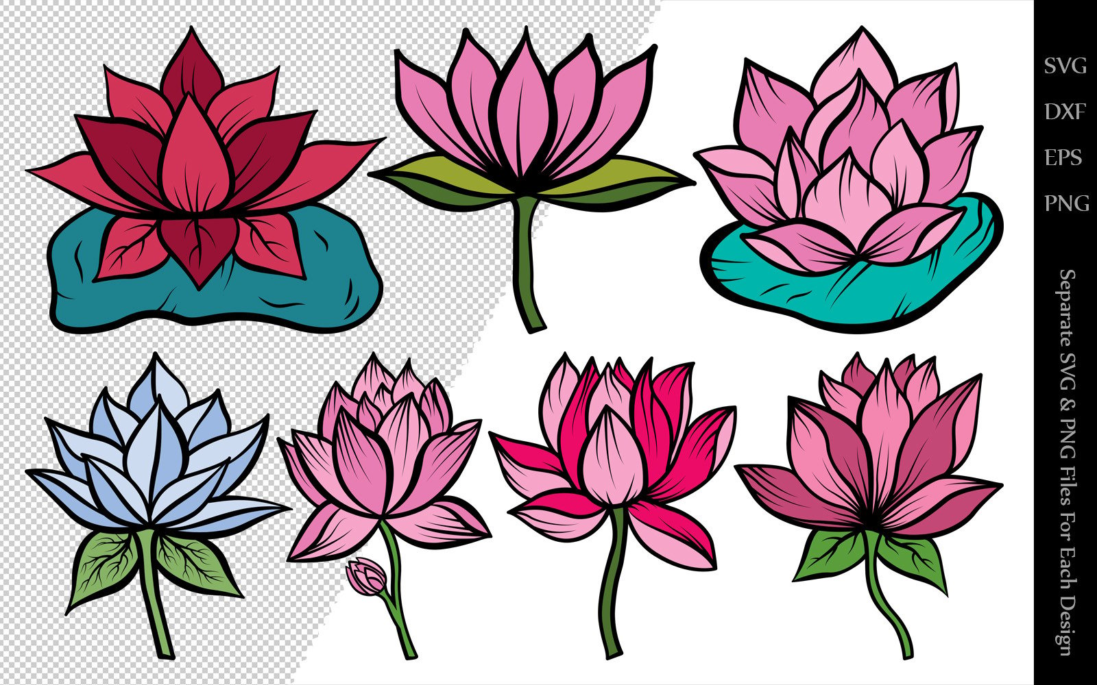 Lotus Flower Clipart Bundle Drawings Illustration