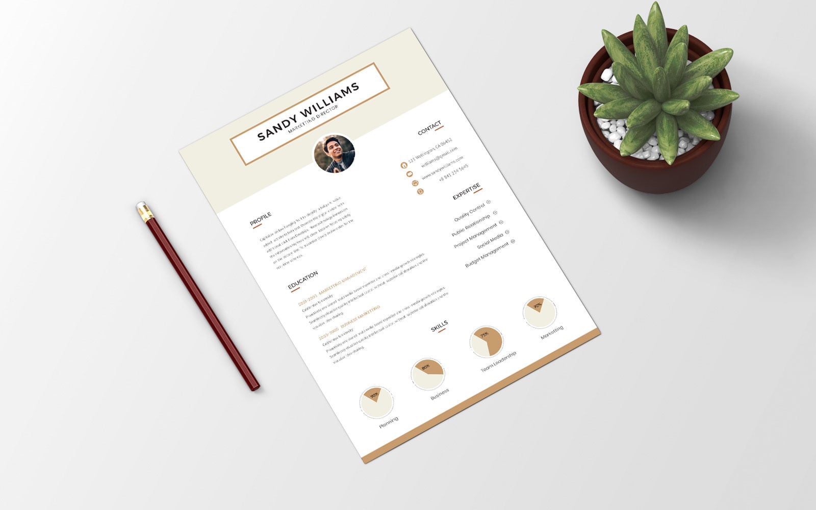 Marketing Professionals CV Resume Template TemplateMonster