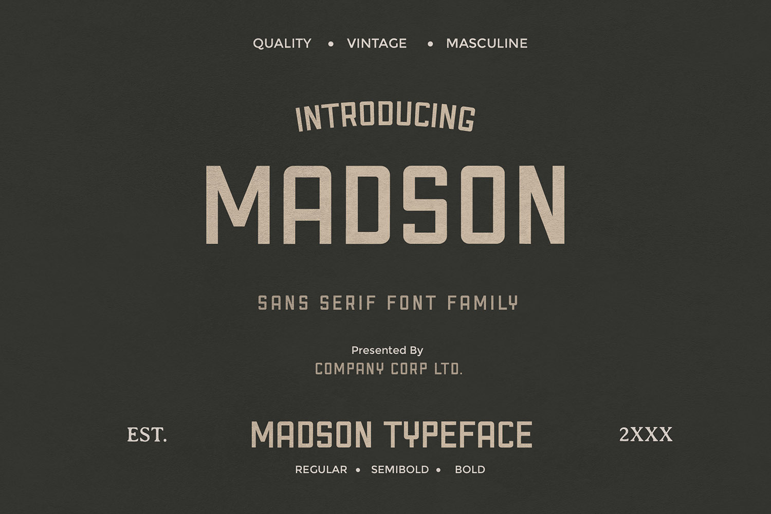 Madson Masculine Modern Typeface Fonts 185409 Original 