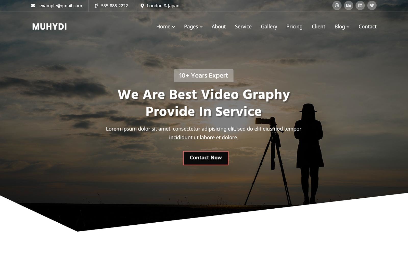 Muydi Videography Website Template TemplateMonster
