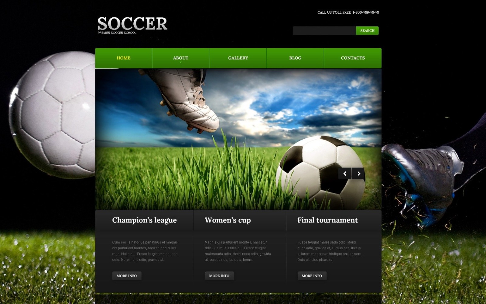 Free Stylish Soccer WordPress Theme #199021 - TemplateMonster