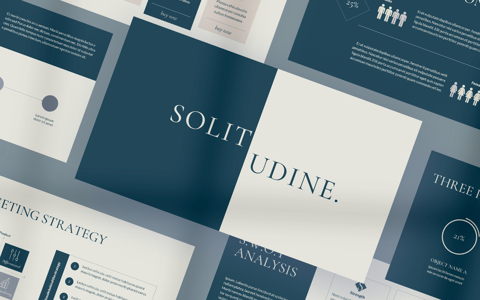 solitudine business plan powerpoint template