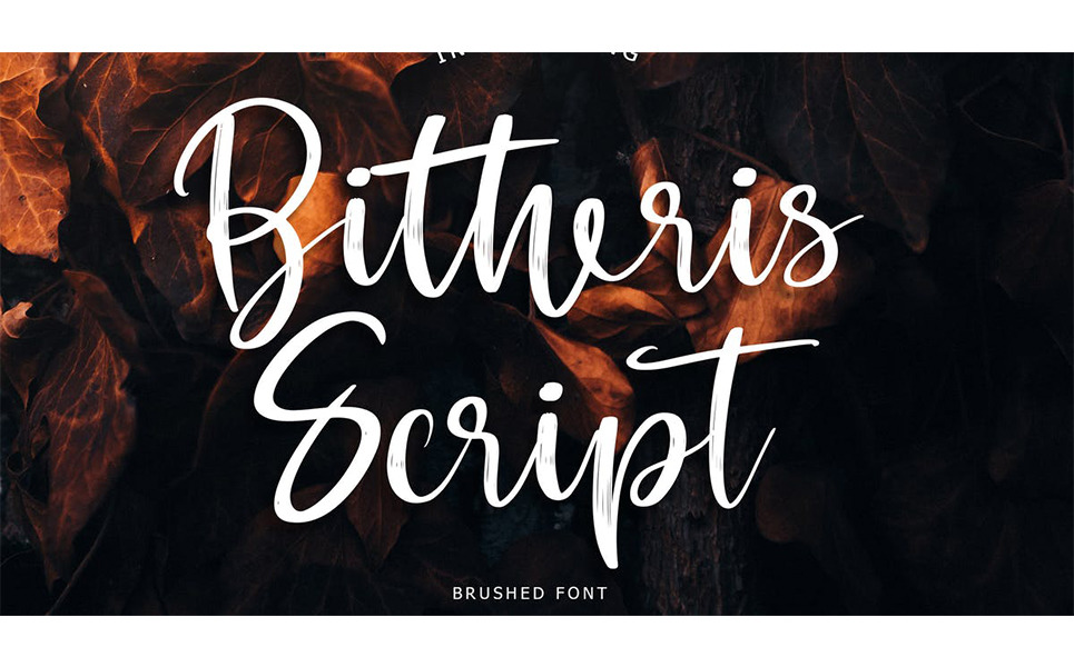 Fuente Bitheris Script Brush Fuente Bitheris Script Brush