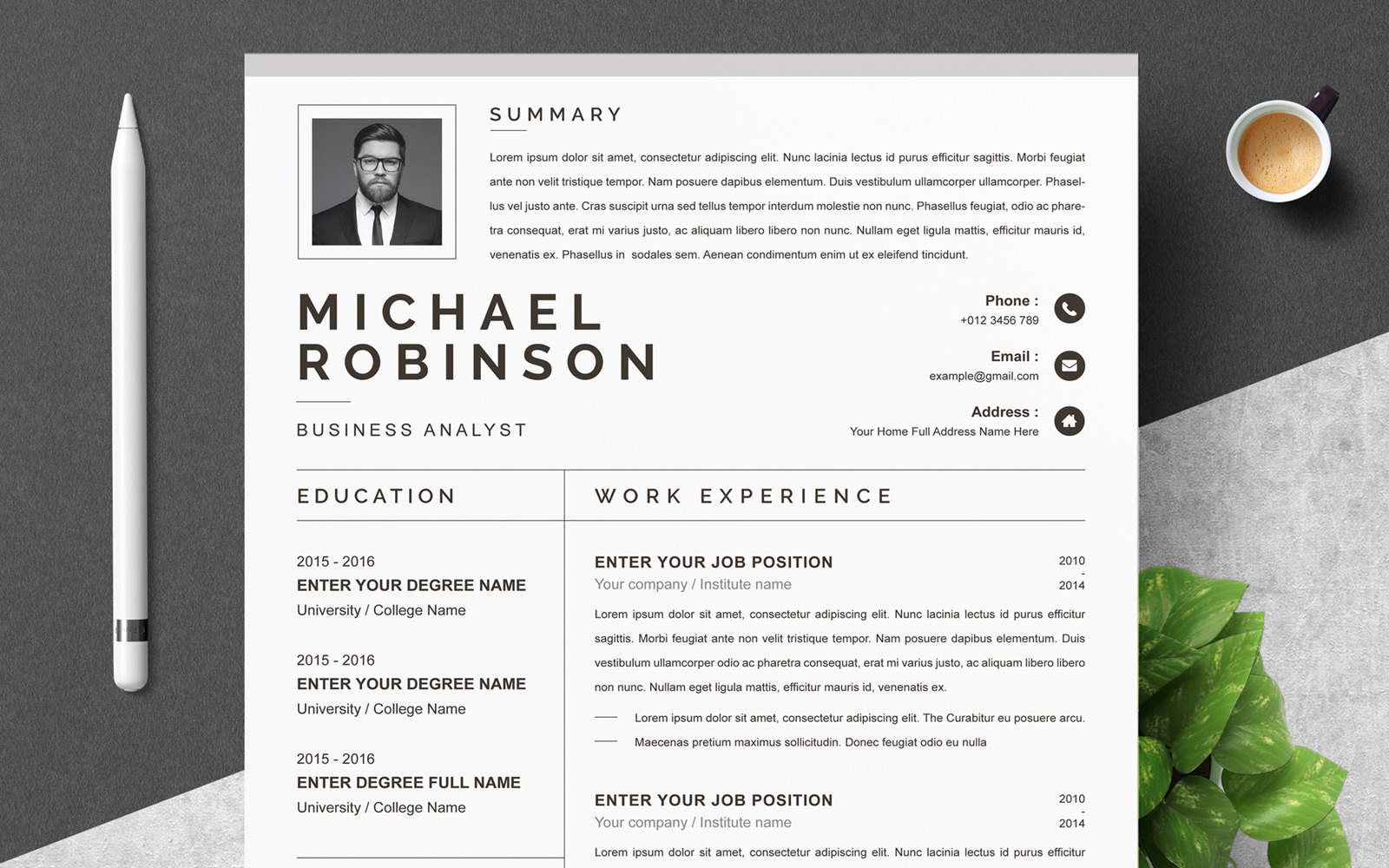 Robinson / Clean Resume Template #232017 - TemplateMonster