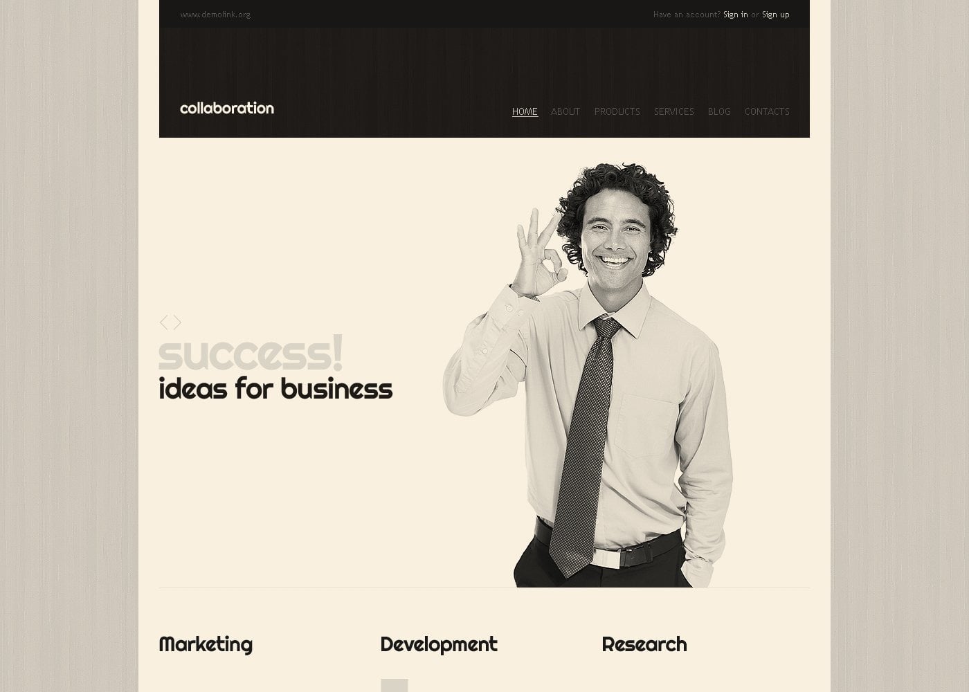 Free Management Responsive Website Template TemplateMonster