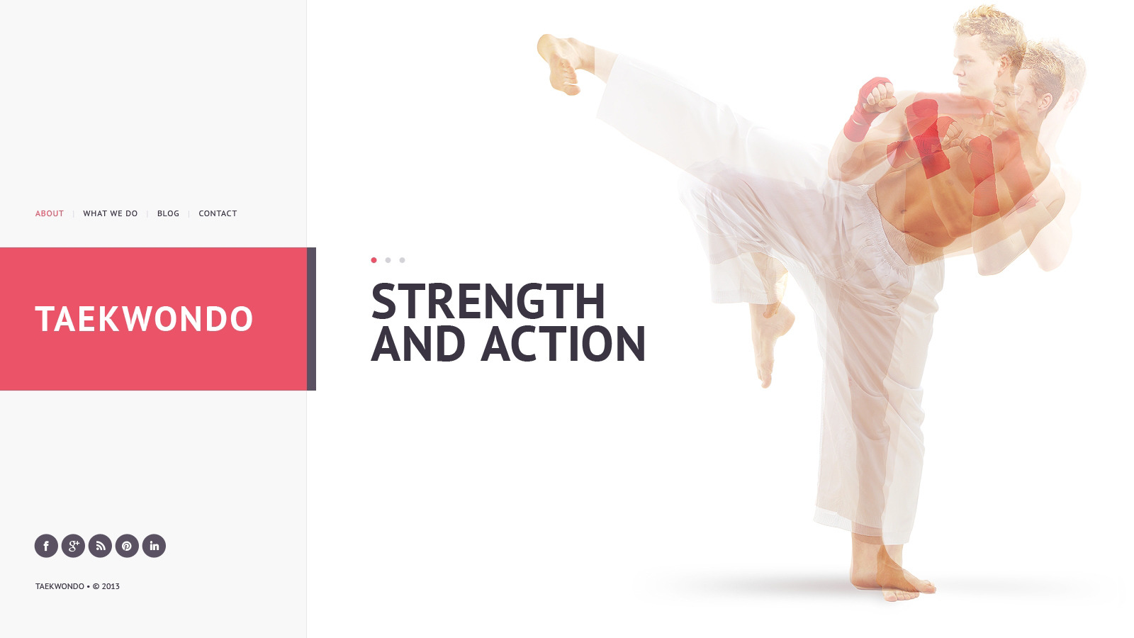 Free Martial Arts site Design Template TemplateMonster