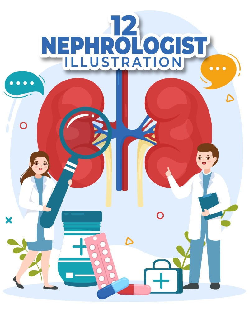 12 Nephrologist Vector Illustration #322904 - TemplateMonster