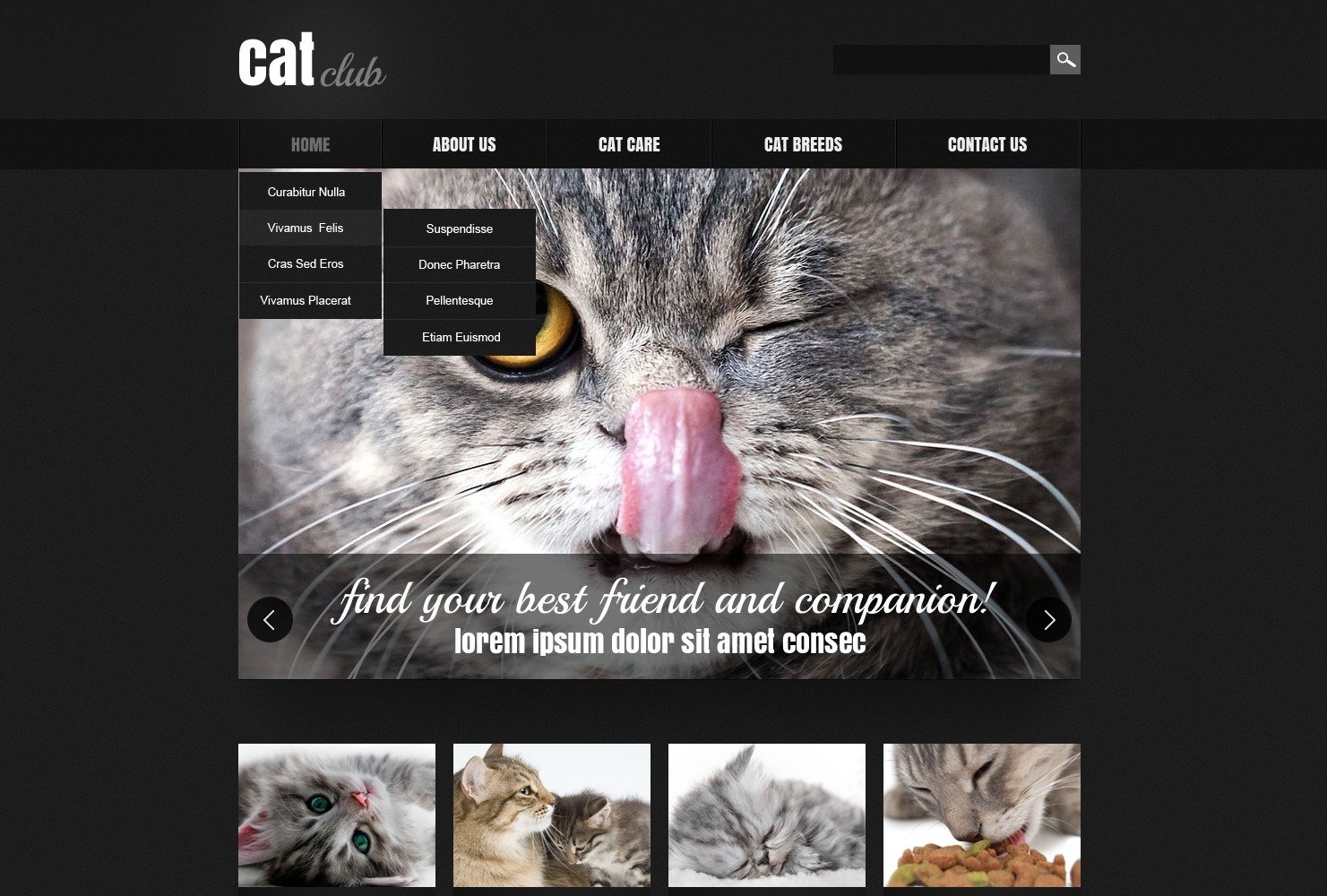 Cat Website Design