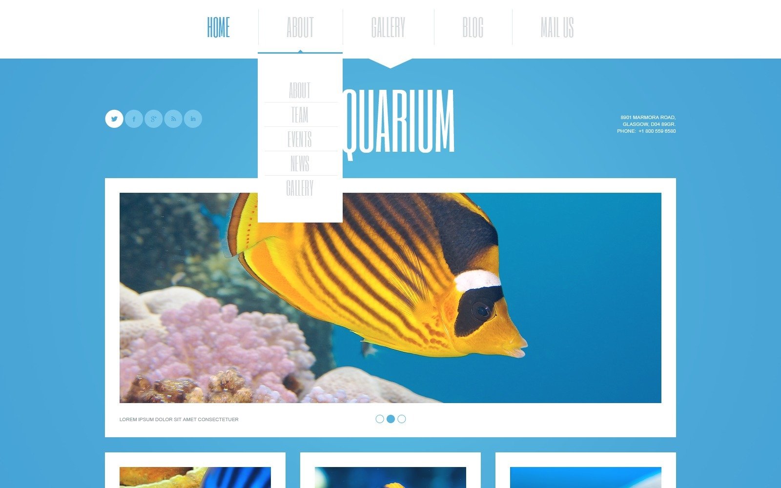 Fish Responsive Website Template #44955