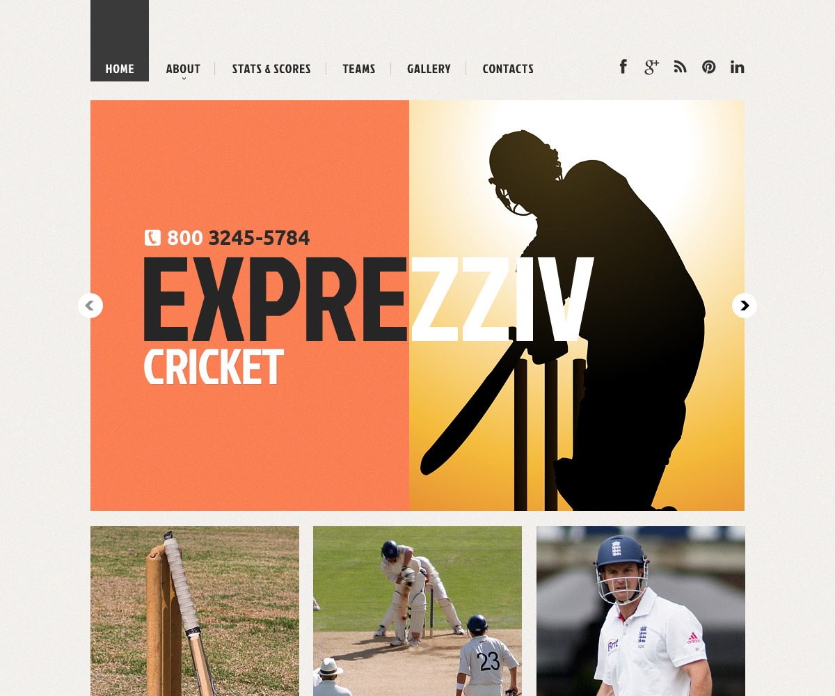 Cricket Responsive Website Template 48223 TemplateMonster