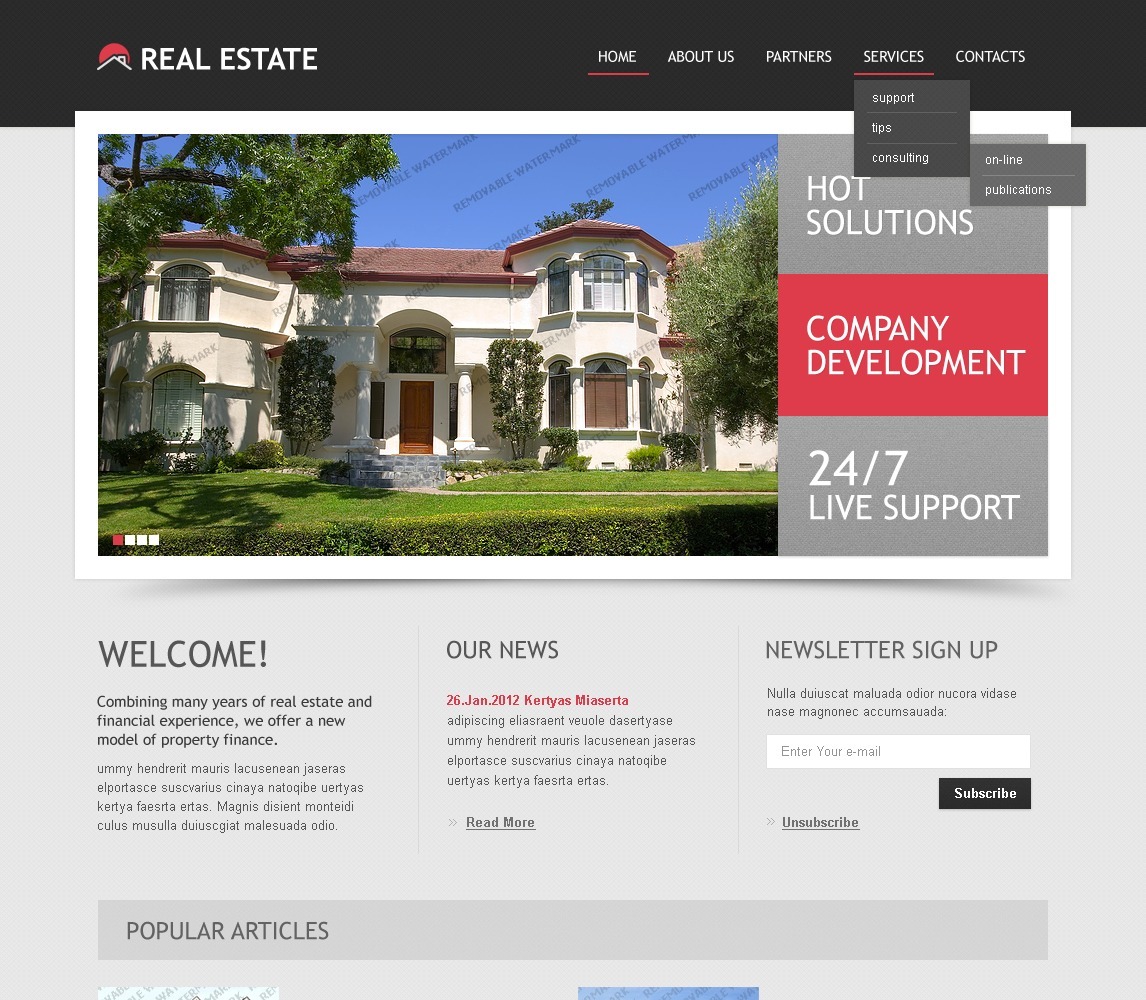 Free JS Animated Template (HTML5 JS Animated) Website Template