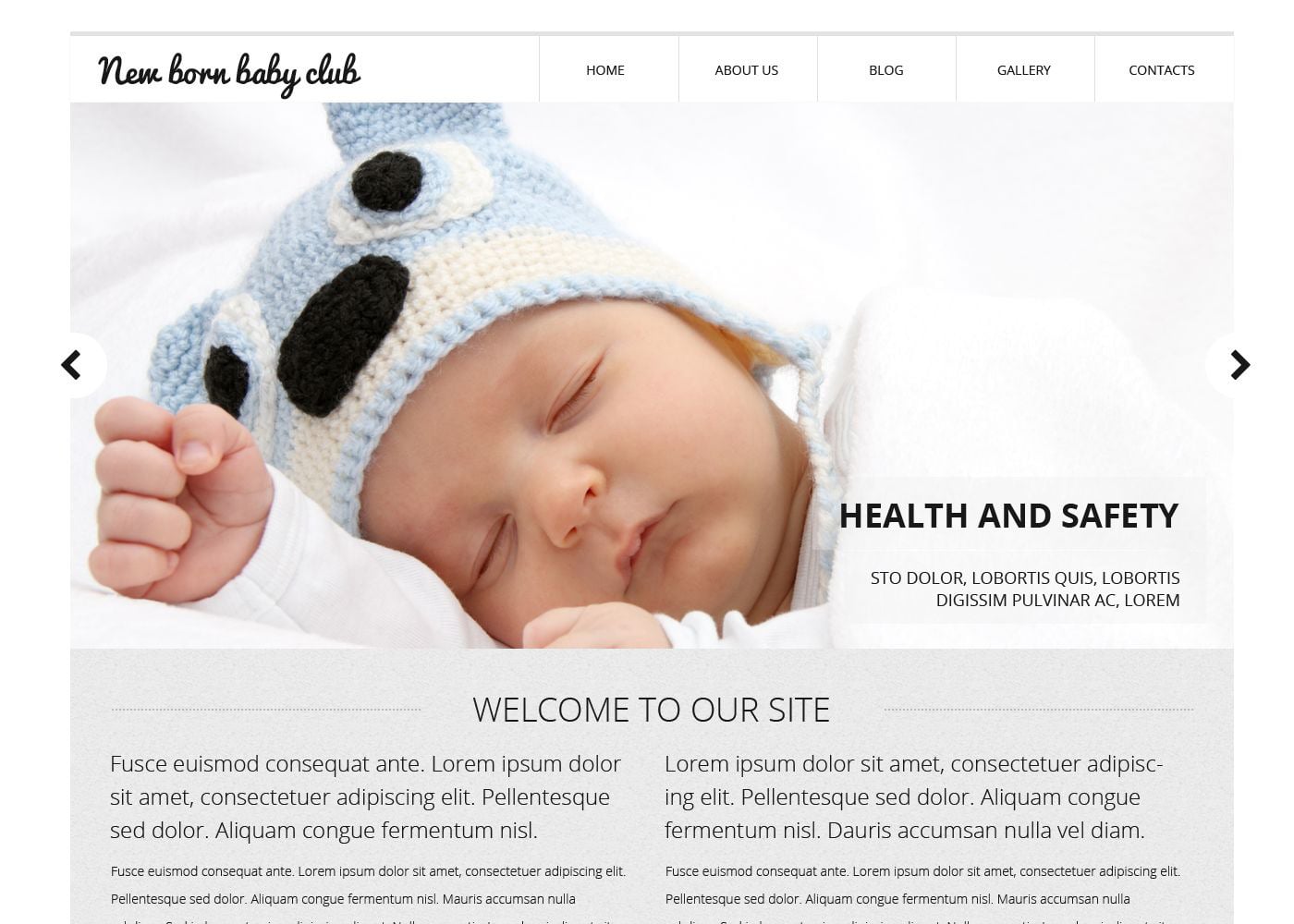 New Born Baby Club site Template 52750 TemplateMonster