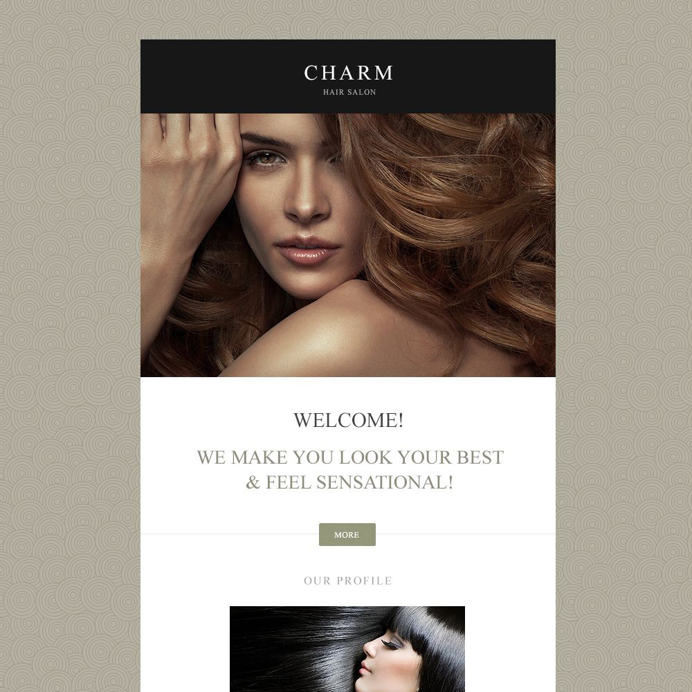 Hair Salon Responsive Newsletter Template - TemplateMonster