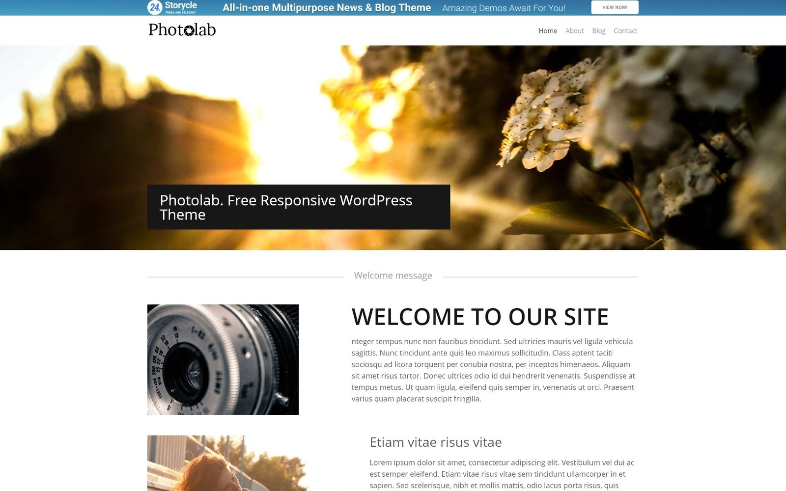 Stock Photo Responsive WordPress Theme - TemplateMonster